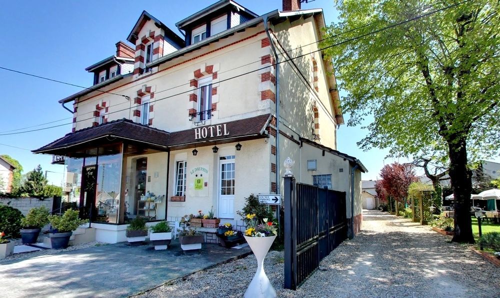 Logis Hotels Restaurant Le Dauphin Salbris Exterior photo